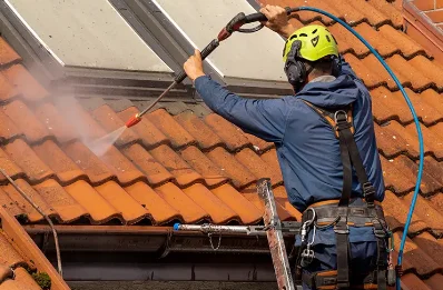 Démoussage et hydrofuge de toiture à Sainte-Geneviève